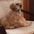 Dave A. Byrnes-Ludwig's profile image