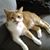 Lorraine Holly's profile image