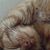 Lasse Hansson's profile image