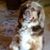 Janeen Coffing's profile image