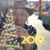 Susie Findlay Hartman's profile image