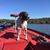 Sonya Davis's profile image