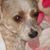 Roxanne Baker's profile image
