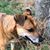 Becky Waldridge's profile image
