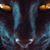 Ray Medici's profile image