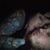 Kristin McDonald's profile image