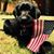 Brian Honcoop's profile image