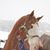 Bonnie Dockery's profile image