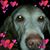Melissa Avila's profile image