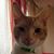 Gail Mattick's profile image