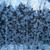Sondra Keene's profile image
