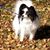 Ellen Jane Mathews Lohmeyer's profile image