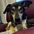 Sharyn Rosenblum Evron's profile image
