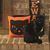 Mandi Evans Wilmoth's profile image