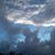 Barbara Peters's profile image