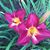 Helen Collins's profile image
