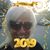 Tammy Morgan May's profile image