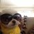 Patti Moss's profile image