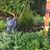 Cathy Bray Sandschaper's profile image