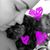 Heather Morgan's profile image