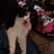 Loretta Williams's profile image