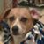 Peggy Norman's profile image