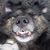 Max Wagner's profile image