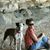 Lizz Isenhart's profile image