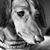 Bobbie Jo Drake's profile image