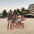 Judy Dragovich Aydt's profile image