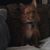 Melaine Philpot's profile image