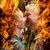 Aaron Kenchiova's profile image