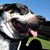 David P Akers's profile image