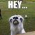 sercydoll's profile image