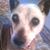 Virginia Millard's profile image