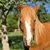 Cindy Domingo-Deal's profile image