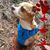 Sarah DeMille's profile image