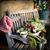 Lissette de la Nuez's profile image