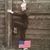 Cathy Giblin's profile image