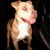 Sonny N Val Celaya's profile image