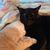 Diane Wilson Whitaker's profile image