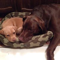 Michelle Seney's profile image