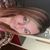 Lanie Moone's profile image