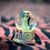 Palak Chopra's profile image