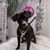 Wendy Oyler Welsh's profile image