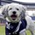 Judy Sokol's profile image