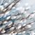 Tracey Lynn Veillon's profile image
