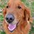 Liz Fultz's profile image