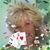 Jodie Eilerman's profile image