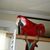 Lynda White Schexnayder's profile image
